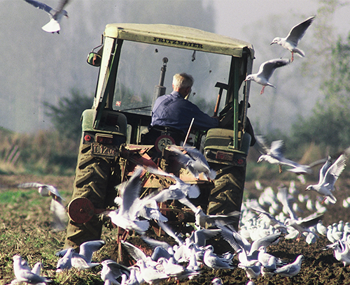 Pa